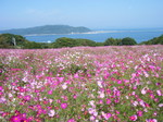 19OCT08 能古島 048.jpg